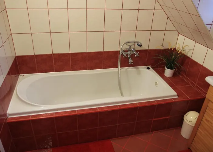 Apartman Samotin Sněžné